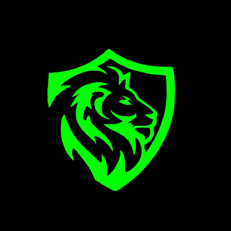 برچسب بدنه خودرو مدل شب نما