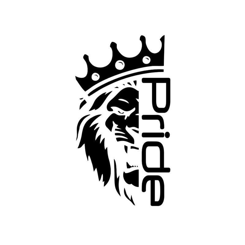 برچسب بدنه خودرو شیپرس کد Sp003M
