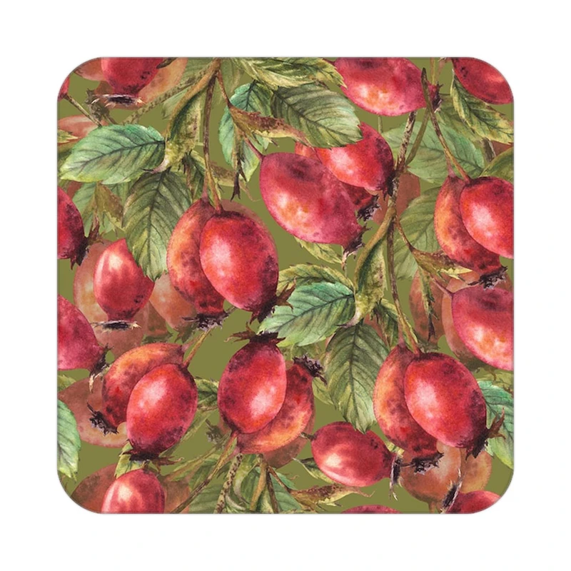 زیر لیوانی کاکتی طرح میوه مدل mp20007