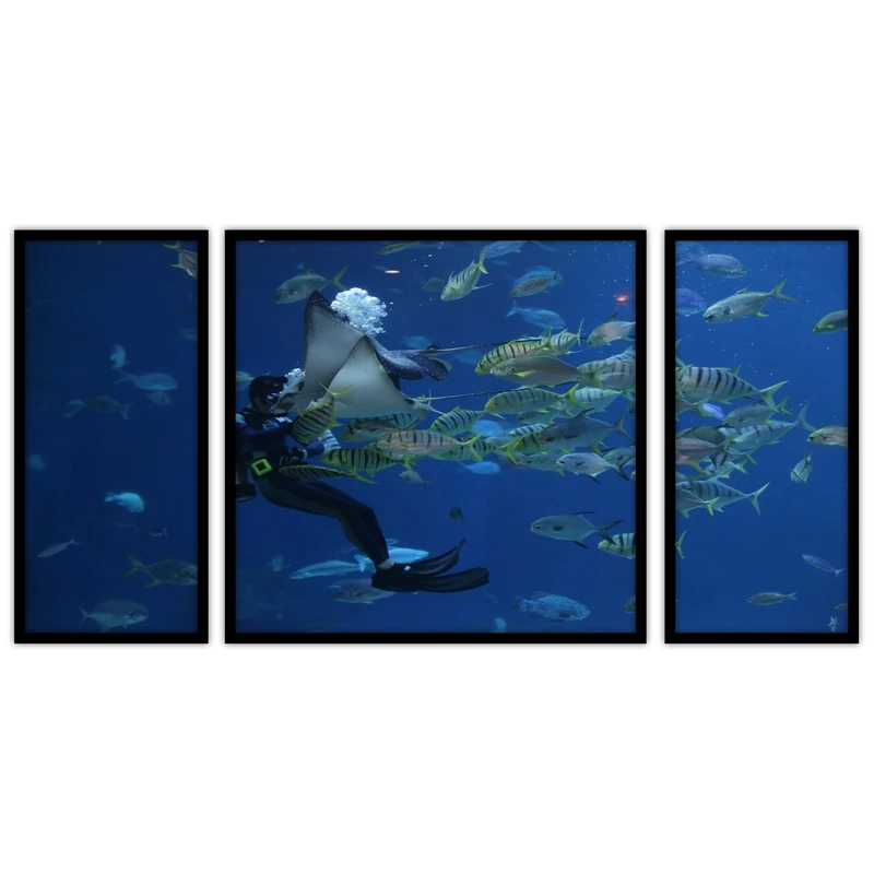 تابلو بکلیت طرح غواصی و دریا مدل B-bu3686 مجموعه 3 عددی