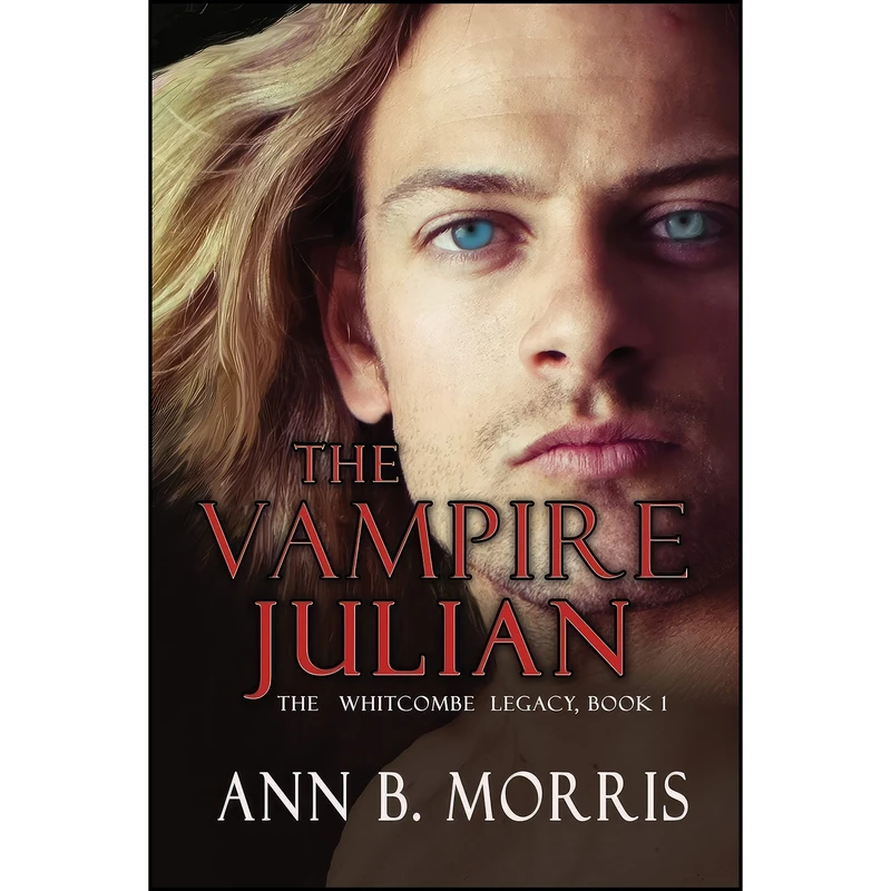 کتاب The Vampire Julian اثر Ann B. Morris انتشارات ImaJinn Books