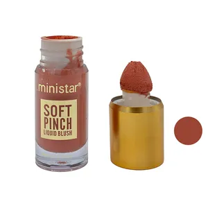 رژگونه مایع ترکیبی مینی استار مدل soft pinch شماره 3