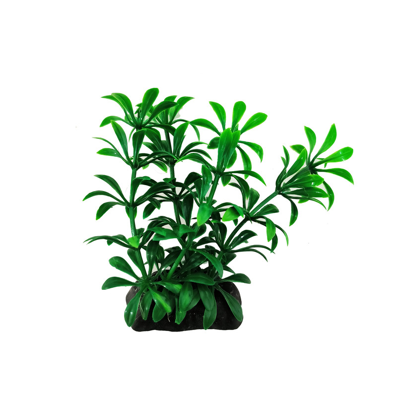 گیاه تزیینی آکواریوم کد S03 مجموعه 10 عددی