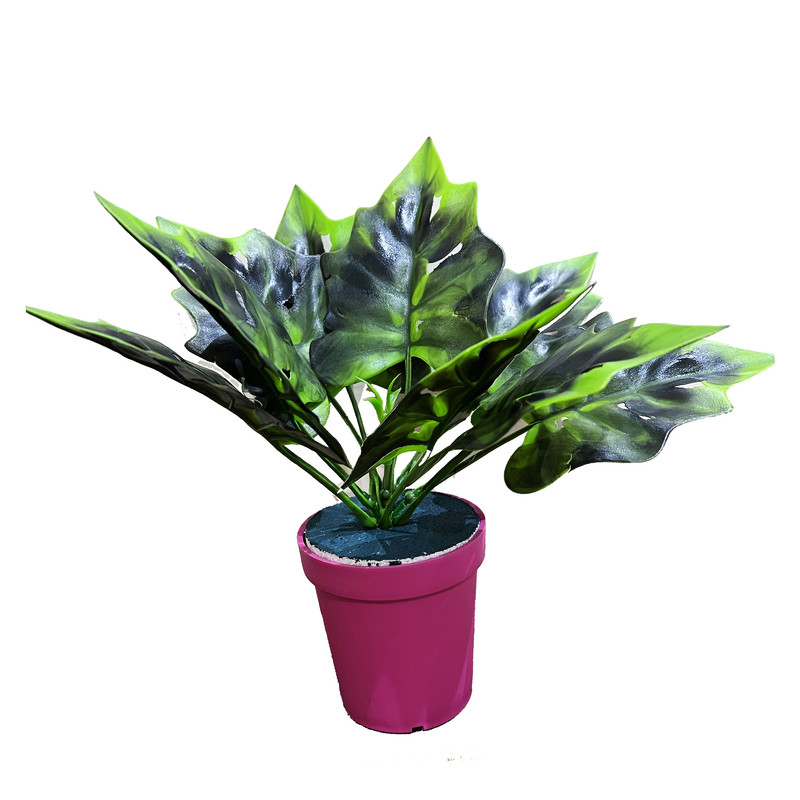 گلدان به همراه گل مصنوعی مدل آکا برگ لوبیا rainblow