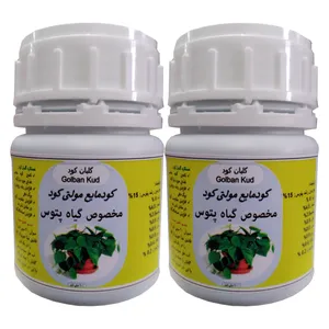 کود مایع مولتی مخصوص انواع پتوس مدل Multi petous حجم 100 میلی لیتر بسته دو عددی