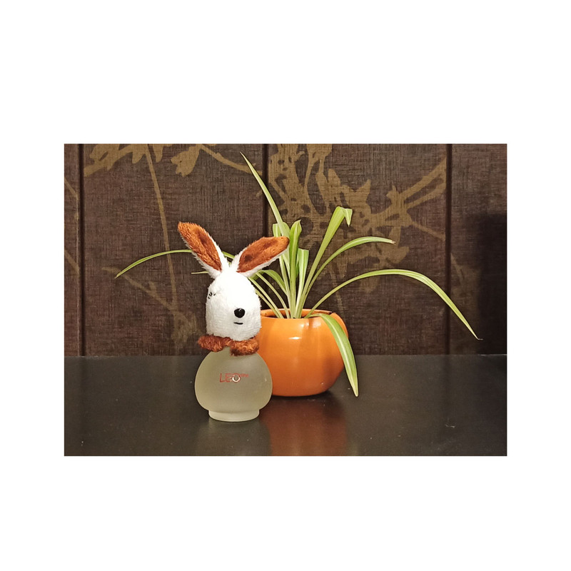 ادوکلن کودک لئو وان مدل LEVERET KAHVE حجم 50 میلی لیتر