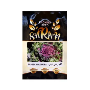 بذر کلم زینتی الوان ساران مدل AMR-129