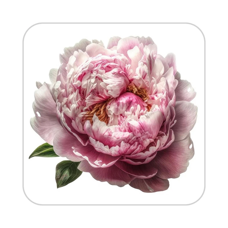 زیر لیوانی کاکتی طرح گل مدل mp18326