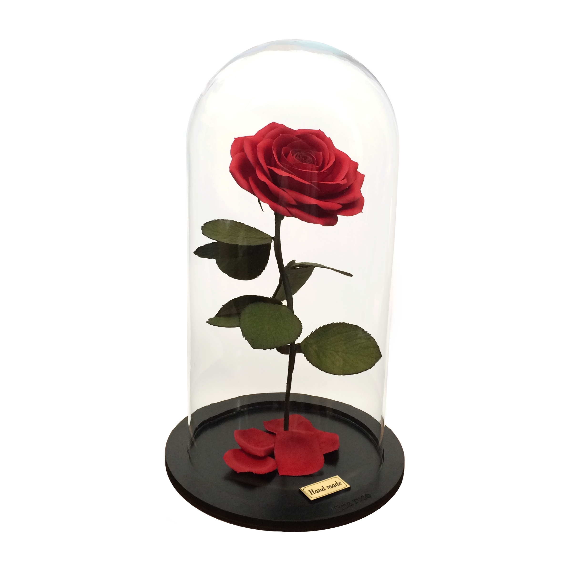 نقد و بررسی گلدان به همراه گل مصنوعی تینا رز مدل 1030 توسط خریداران