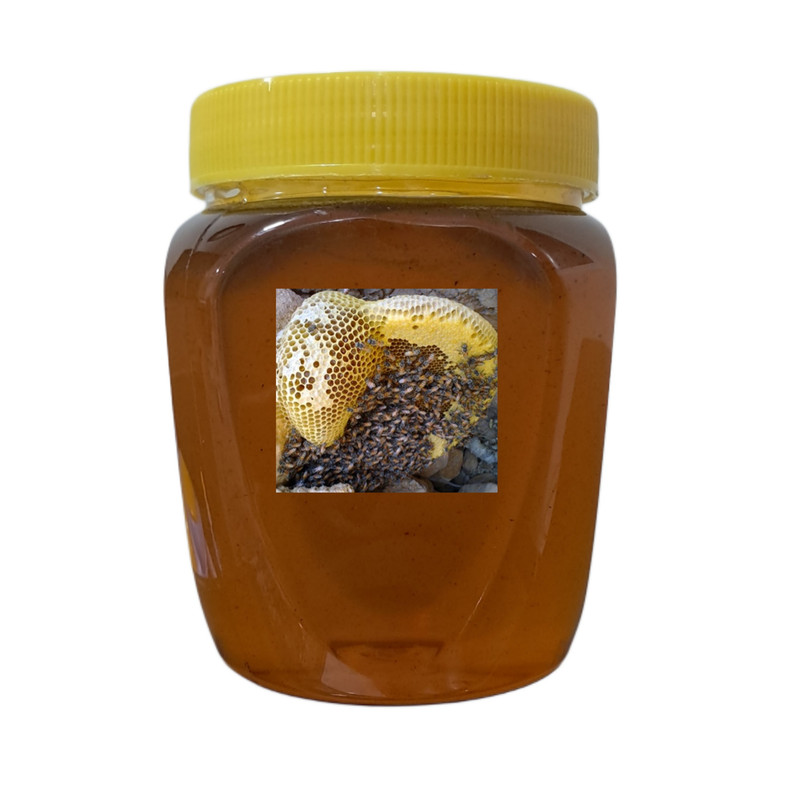 عسل وحشی کوهی طبیعی - 1 کیلوگرم