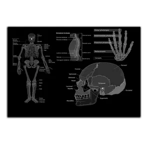 تابلو شاسی بکلیت طرح آناتومی انسان مدل SH-S5189