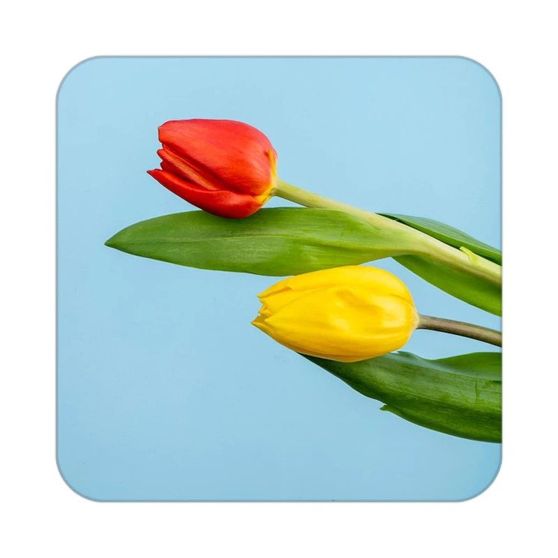 زیر لیوانی کاکتی طرح گل مدل mp18781