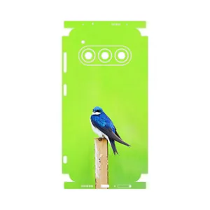 MAHOOT Bird Swallow-FullSkin Cover Sticker for Daria Bond II 5G
