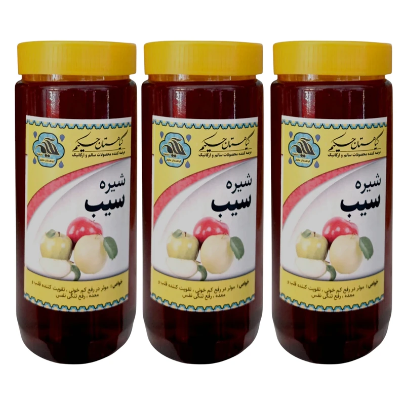 شیره سیب گیاهستان حکیم - 1 کیلوگرم بسته 3 عددی