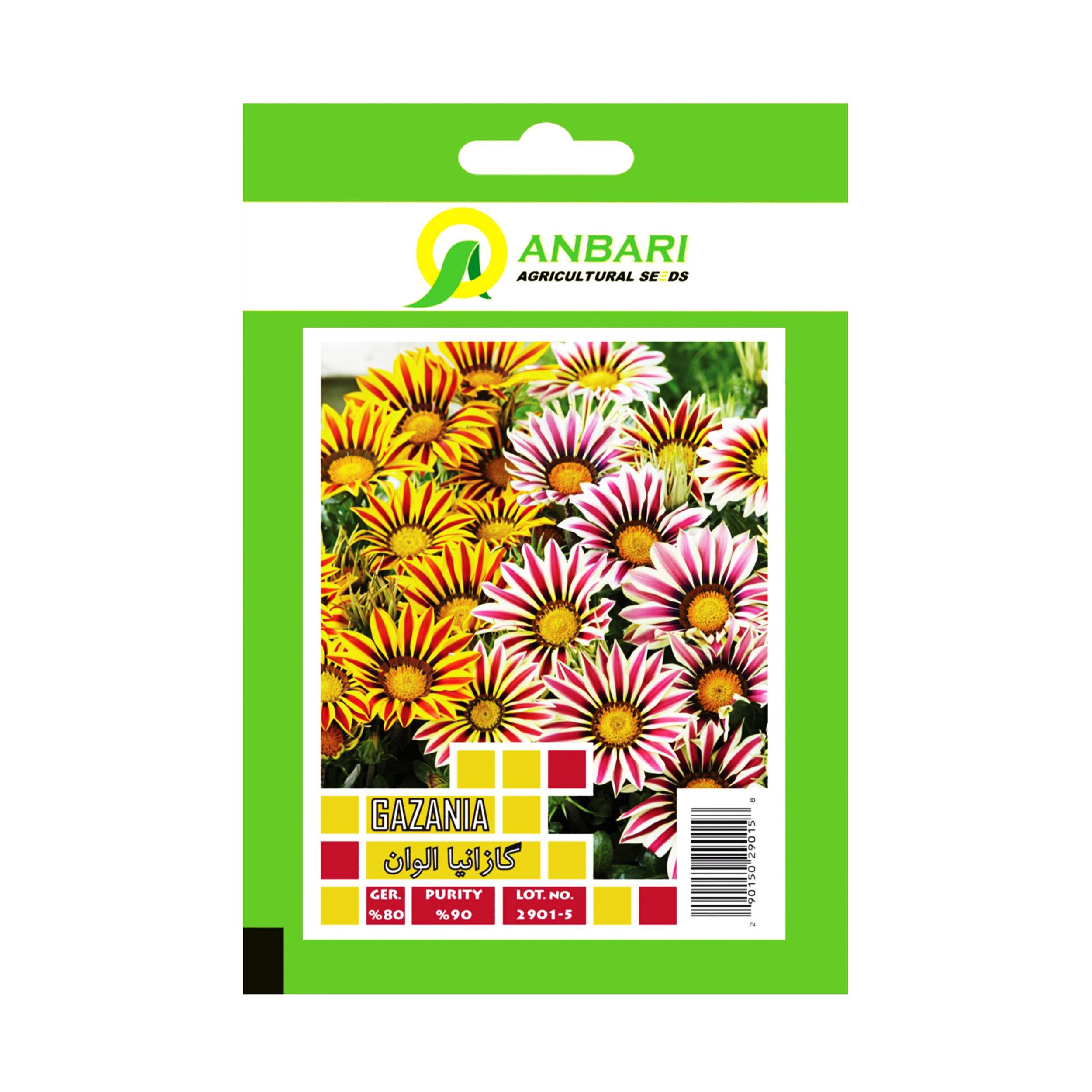 بذر گل گازانیا الوان بذر عنبری کد BZA-029