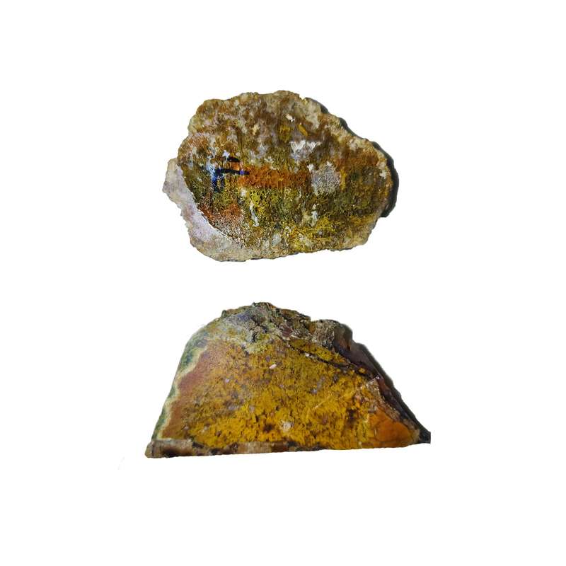 سنگ راف شجر مدل منظره خزه ای و پاییزی بسته 2 عددی