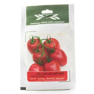 بذر گوجه تخم مرغی قرمز درختی وانیا سید کد G47