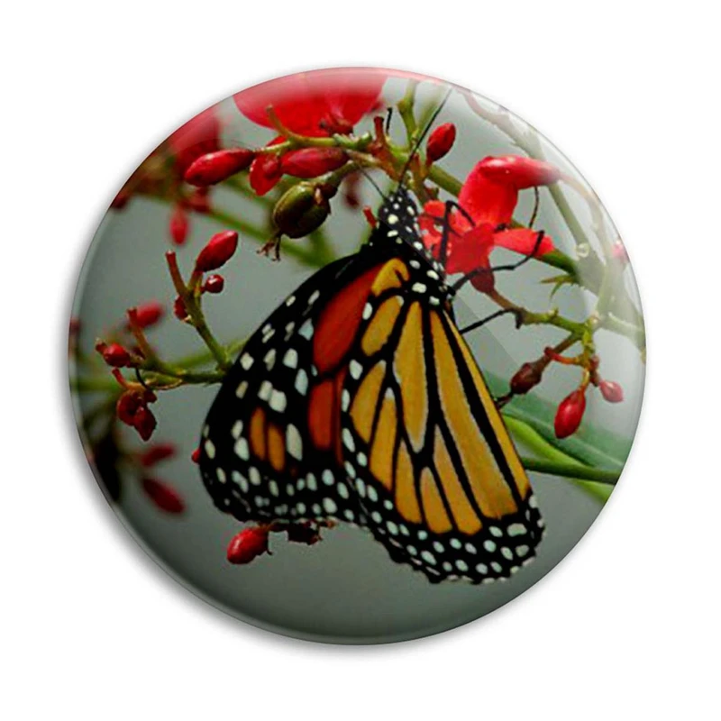مگنت پرمانه طرح پروانه کد pmag.22142