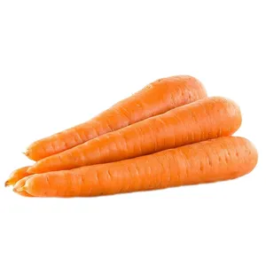 هویج درجه یک - 2 کیلوگرم