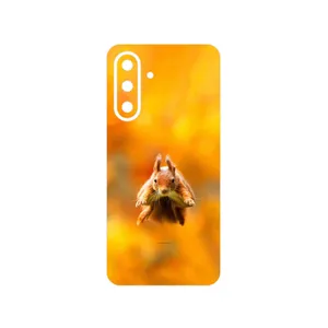 MAHOOT Squirrel Cover Sticker for Samsung Galaxy A36