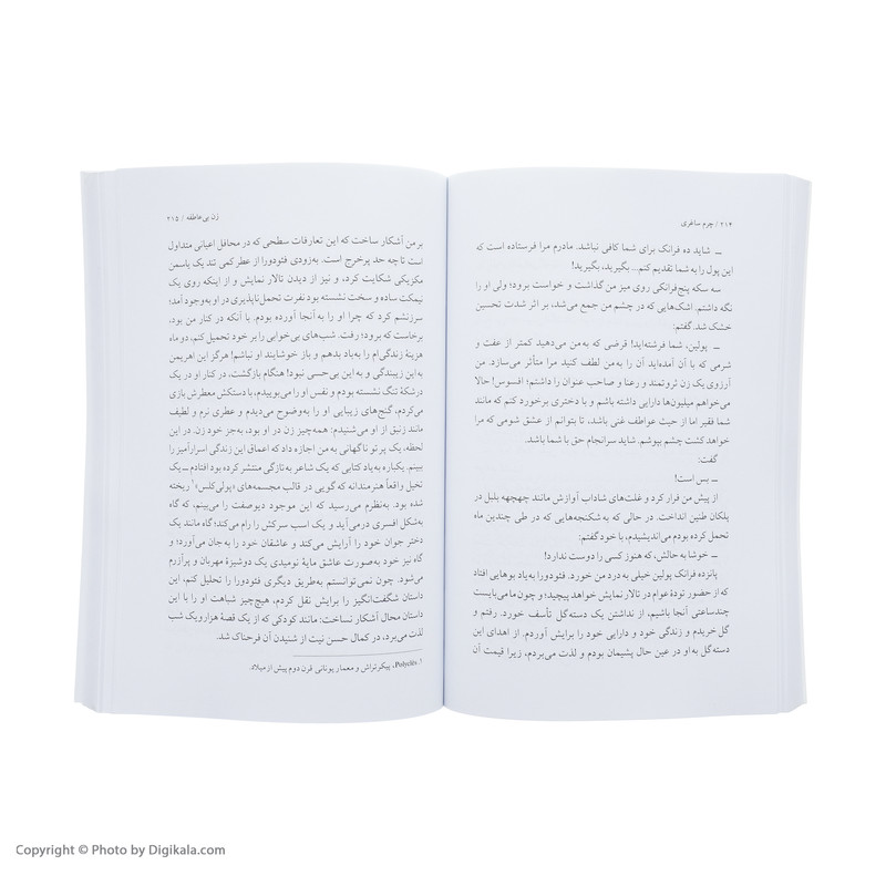کتاب چرم ساغری اثر انوره دو بالزاک انتشارات ناهید