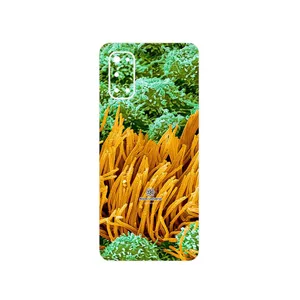 MAHOOT Atom Universe 6 Cover Sticker for Realme 7 Pro