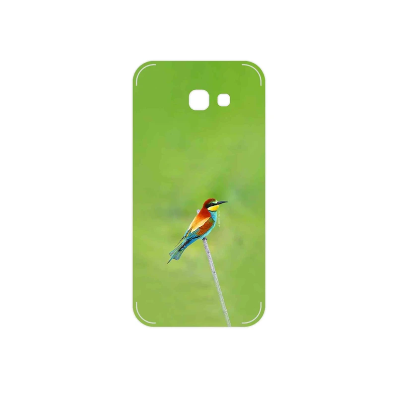 برچسب پوششی ماهوت مدل European bee-eater مناسب برای گوشی موبایل سامسونگ Galaxy A5 2017