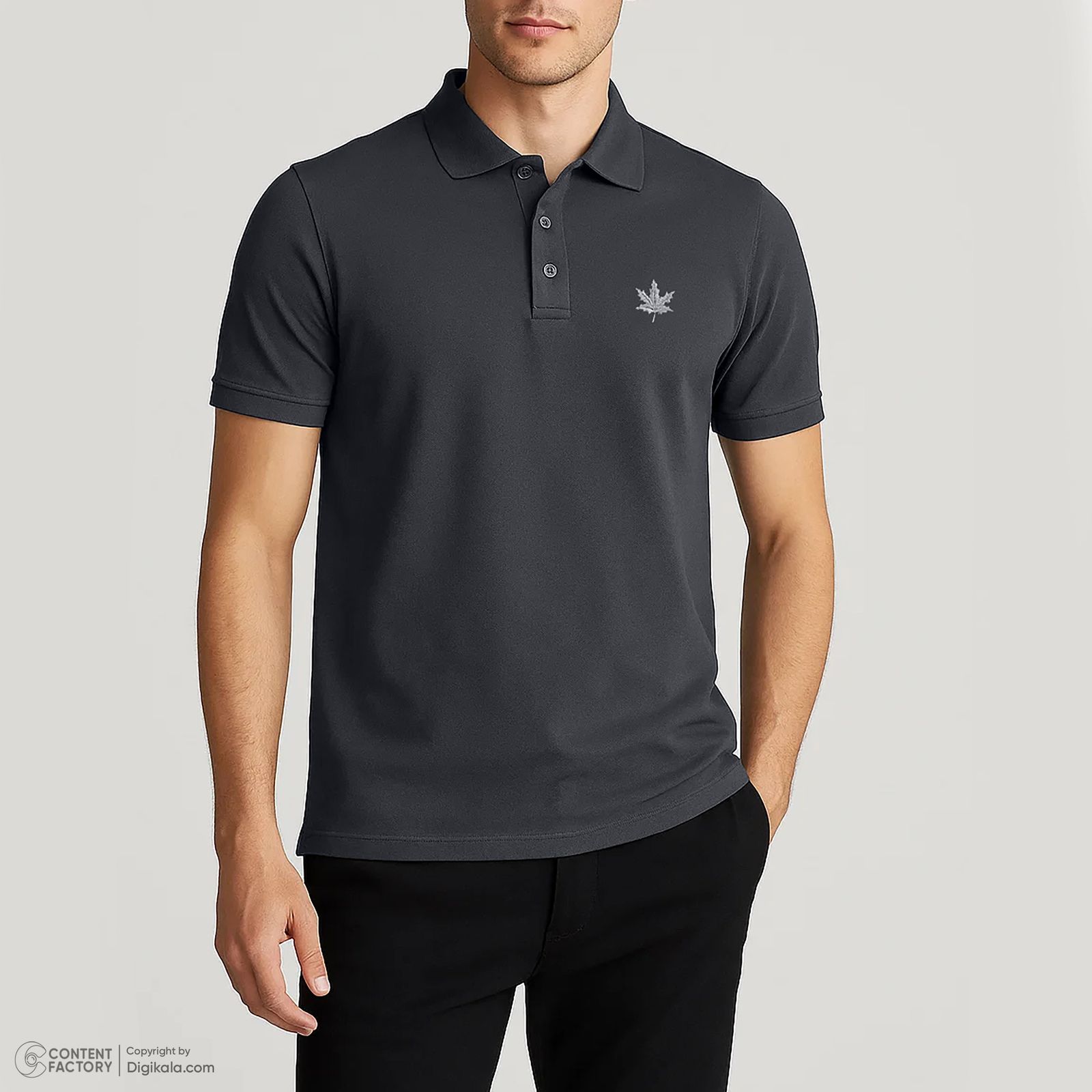 پولوشرت آستین کوتاه مردانه تریکو پاییزان مدل PB300 - - 42