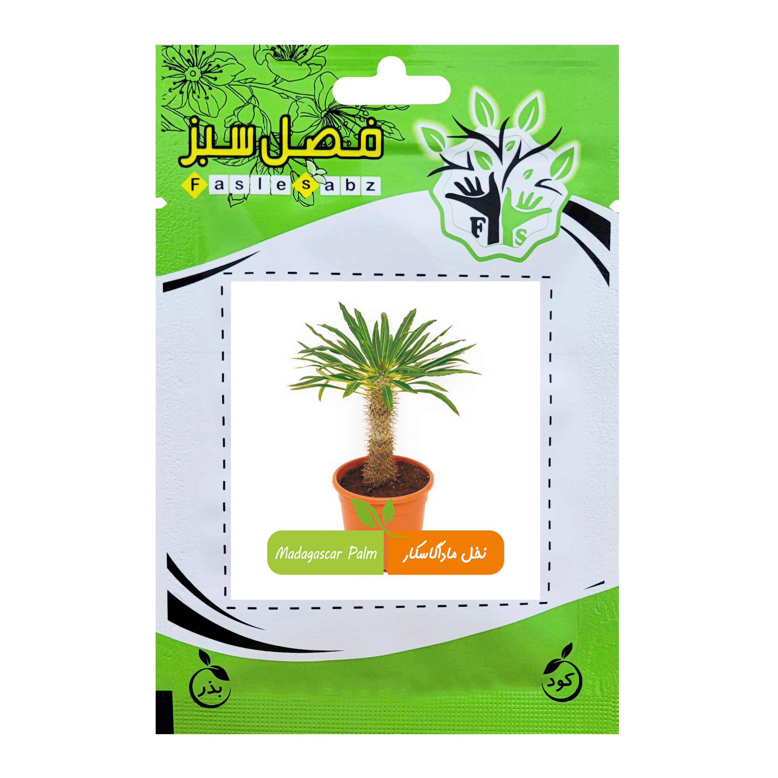 بذر نخل ماداگاسکار فصل سبز کد FSSEED-049