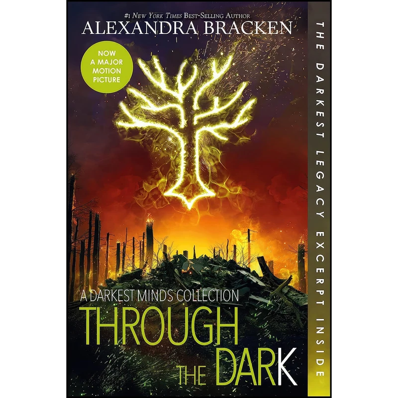کتاب Through the Dark  اثر Alexandra Bracken انتشارات Disney Hyperion