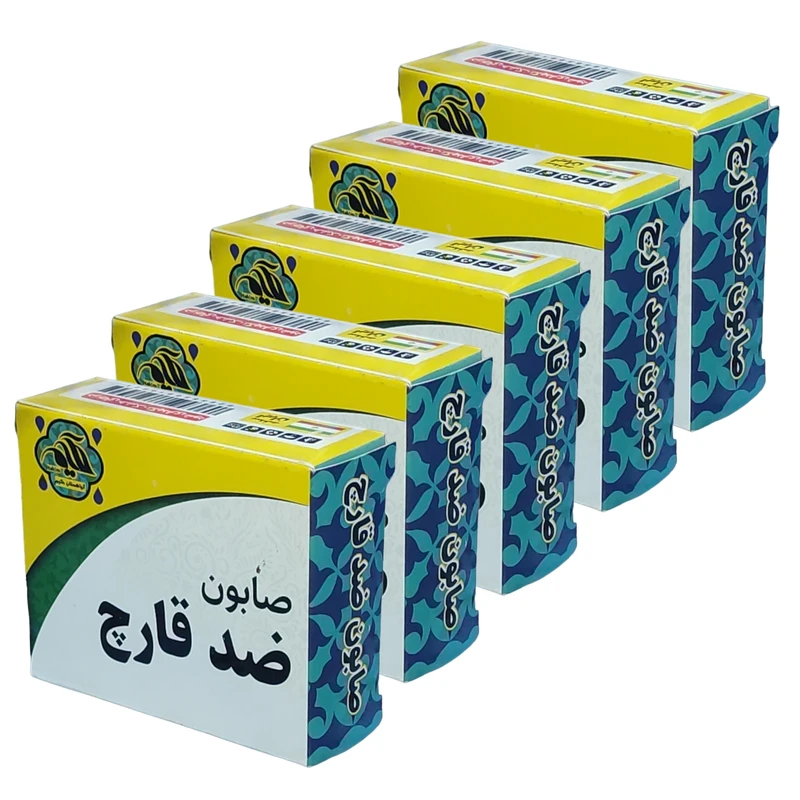 صابون شستشو گیاهستان حکیم مدل ضد قارچ وزن 70 گرم بسته 5 عددی