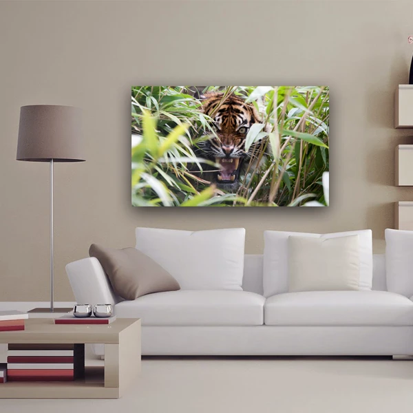 پوستر مدل ببر بنگال کد 1046