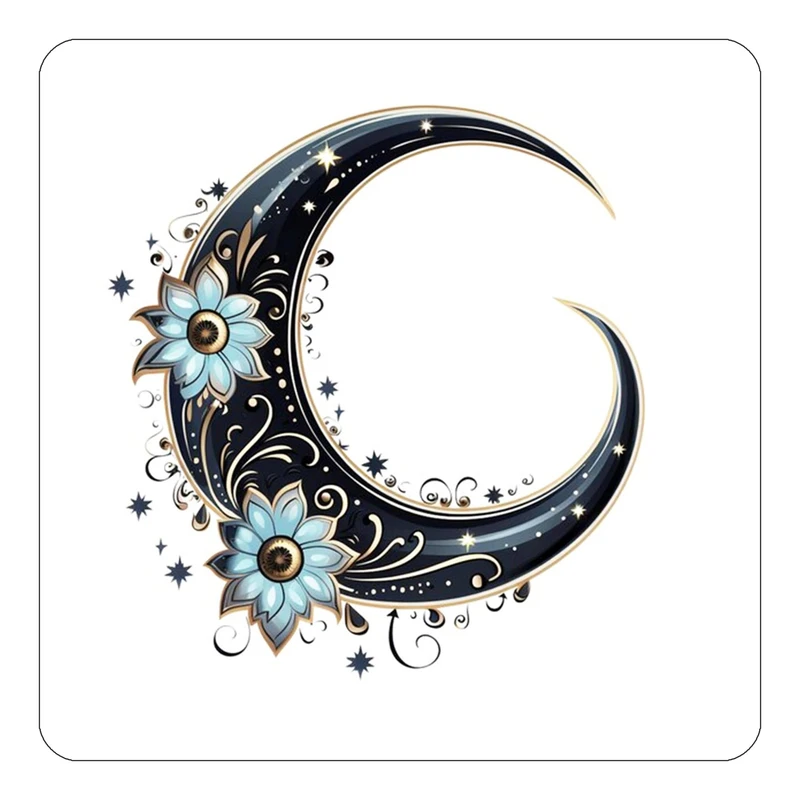 مگنت کاکتی طرح ماه و ستاره مدل mp54283