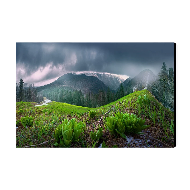 تابلو شاسی عرش مدل فانتزی منظره طبیعت کد As4992