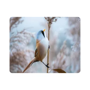 ماوس پد طرح پرنده مدل T8070