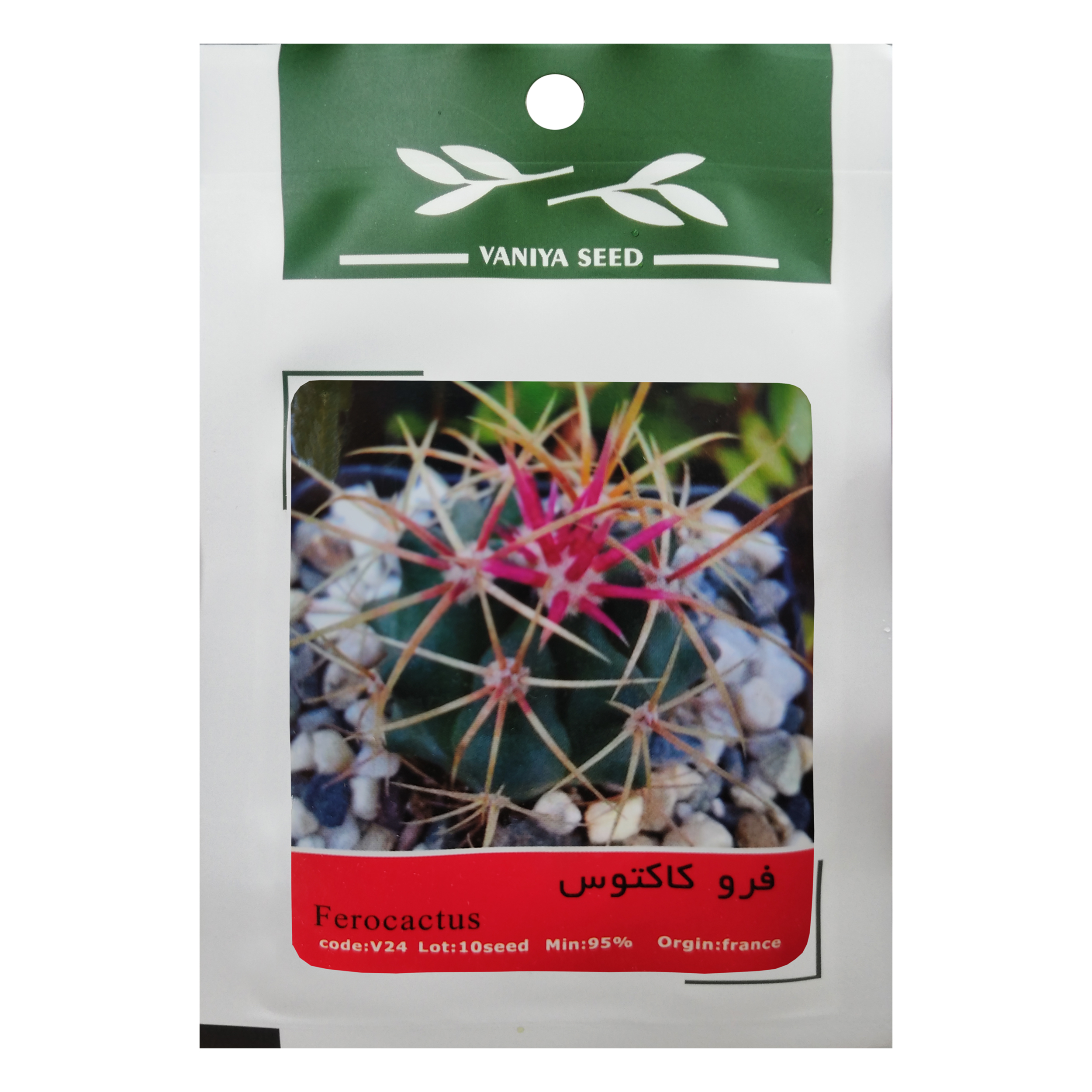 بذر فرو کاکتوس وانیا سید مدل V24