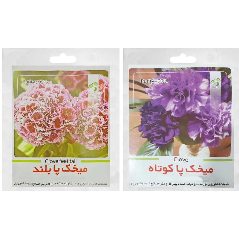 بذر گل های میخک گرین فارم کد G 22 بسته 2 عددی 
