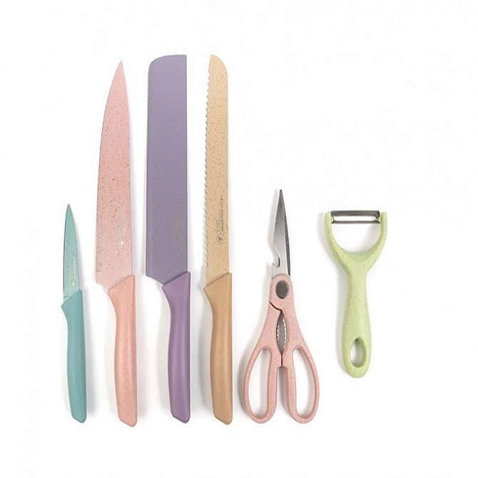ست چاقو آشپزخانه 6 پارچه ای وی سی ریوریچ مدل EVC-2