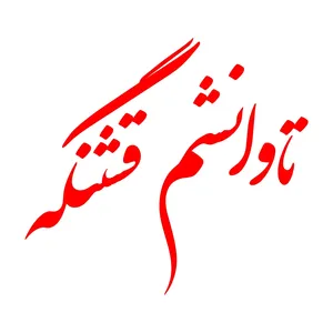 برچسب بدنه خودرو طرح تاوانشم قشنگه کد MT-R422