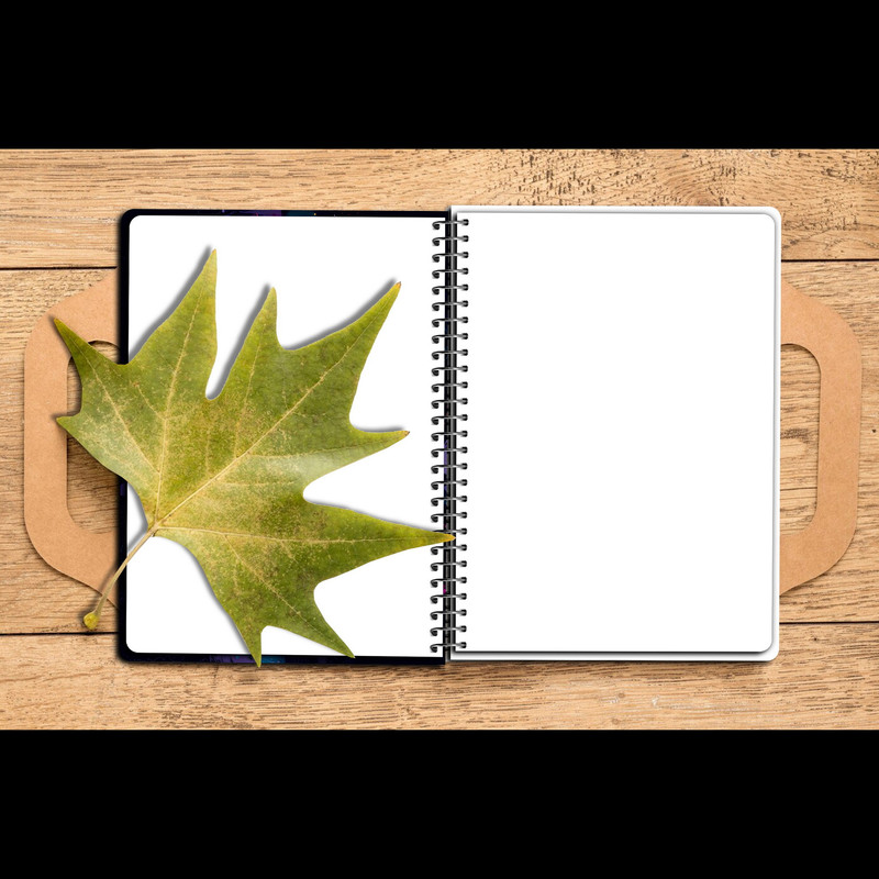 دفتر نقاشی مستر راد مدل فضانورد کد fiory 2292