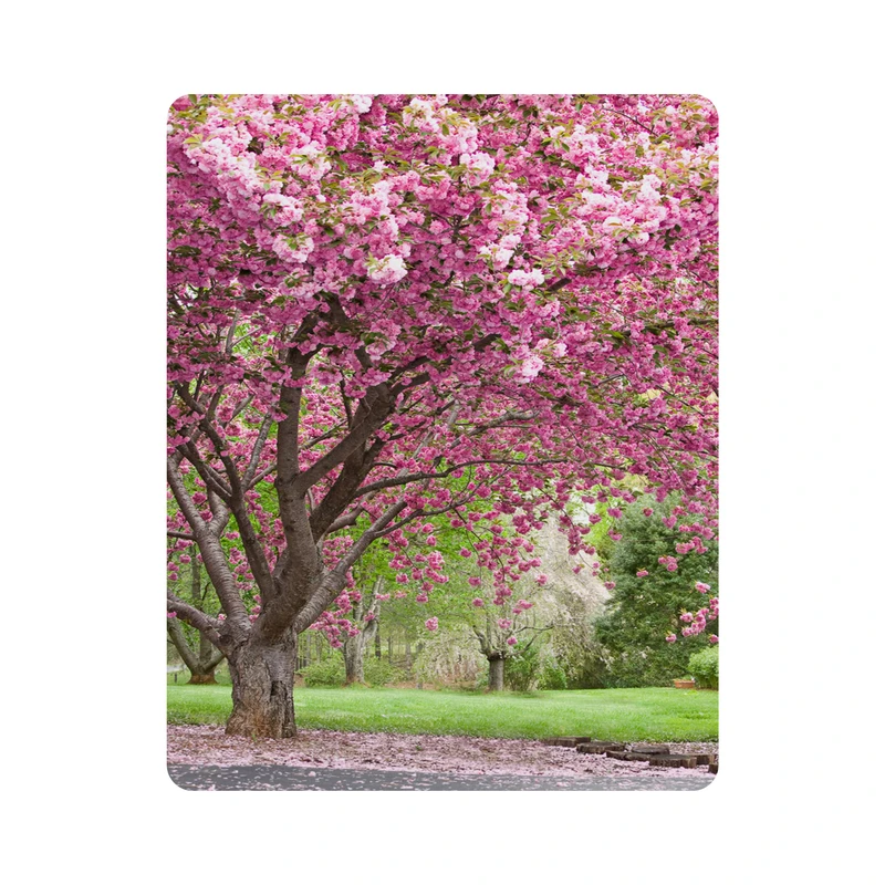 ماوس پد اطلس آبی طرح درخت با گل صورتی مدل T7126