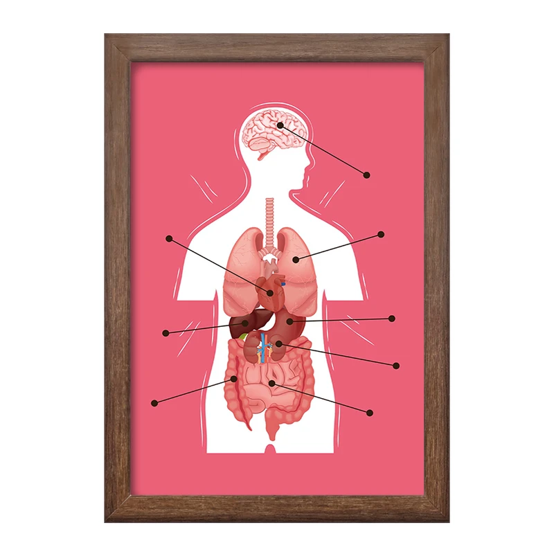 تابلو خندالو طرح ماکت بدن انسان کد F1703