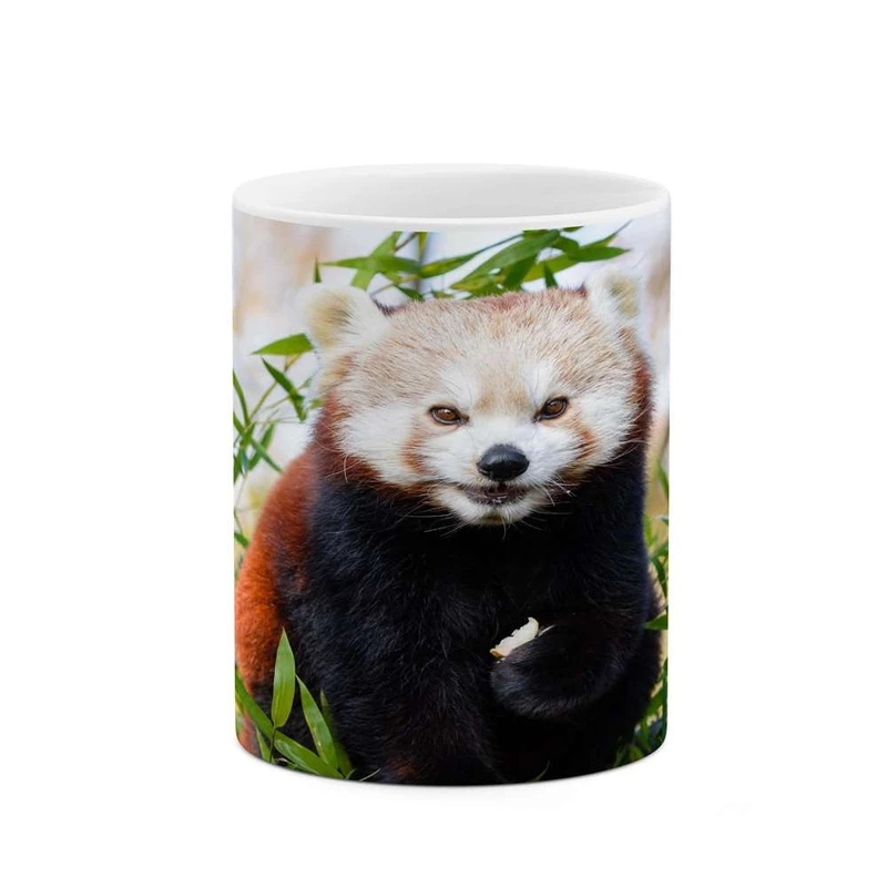 ماگ کاکتی مدل پاندا کد mgh16313