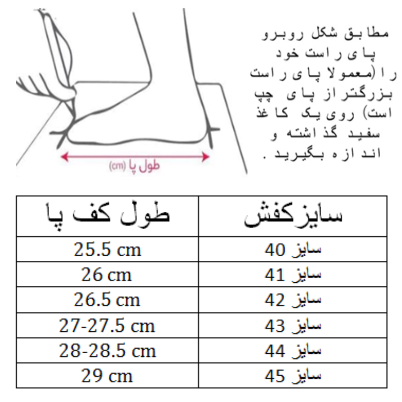 کفش کشتی مردانه مدرن مدل رودیس کد C-8350