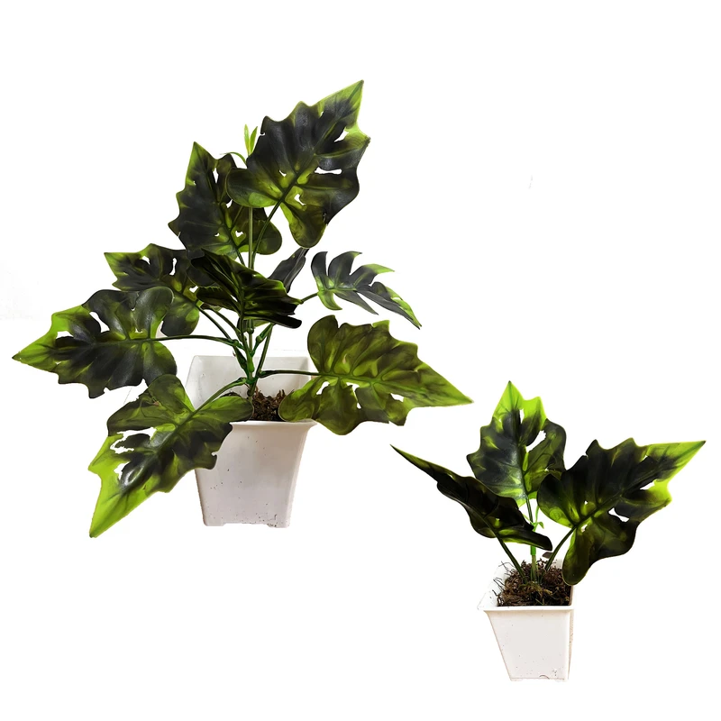 گلدان به همراه گل مصنوعی مدل برگ لوبیا مربعی321 مجموعه 2 عددی  