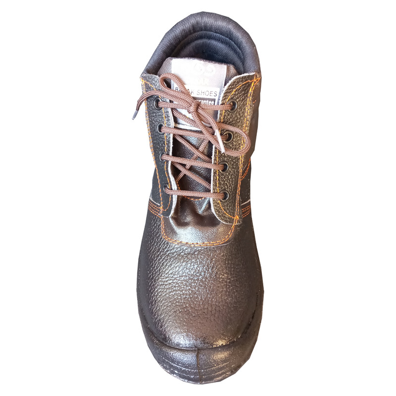 پوتین ایمنی مدل اکونومی پوتین ایمنی مدل اکونومی