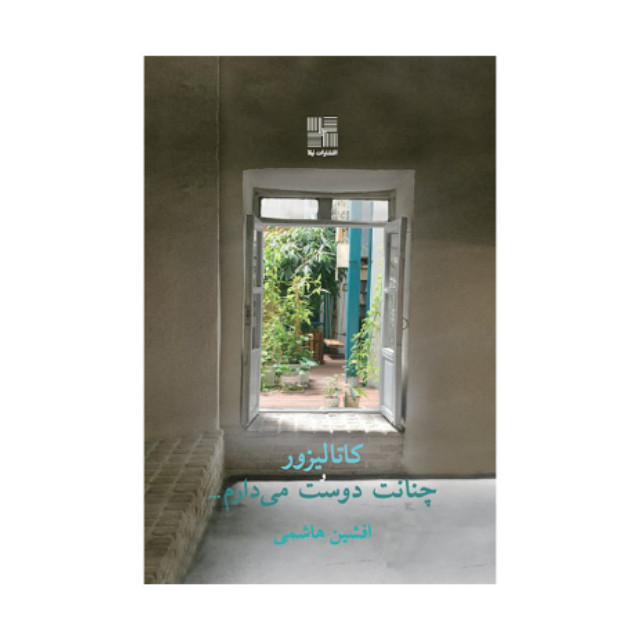 کتاب کاتالیزور و چنانت دوست می دارم اثر افشین هاشمی انتشارات نیلا