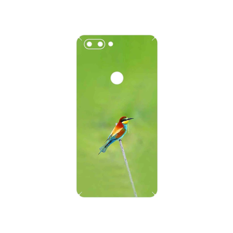 برچسب پوششی ماهوت مدل European bee-eater مناسب برای گوشی موبایل تکنو Phantom 8