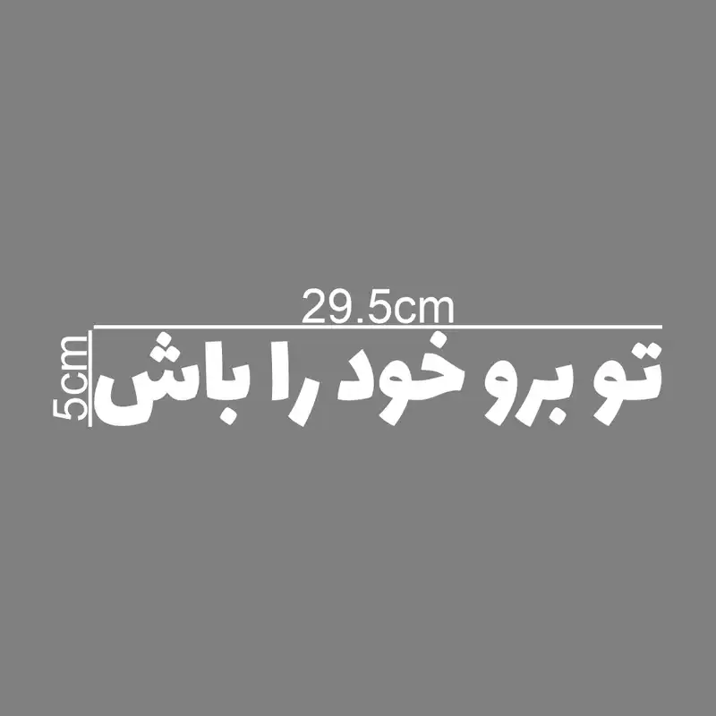 برچسب بدنه خودرو طرح تو برو خود را باش کد MT-W419