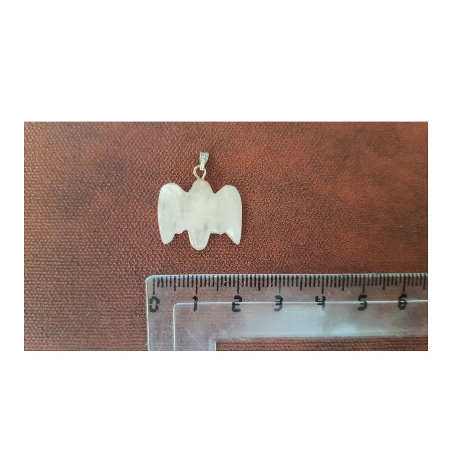 آویز گردنبند دخترانه مدل شاهین S6